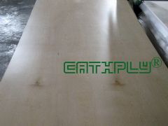 UV Prefinished Plywood